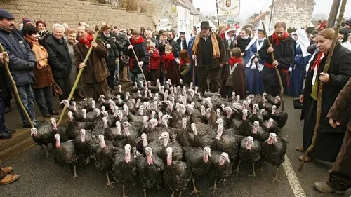 La fête de la dinde de Licques annulée à cause du risque sanitaire